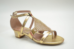 Sandlia Ortop Dourada