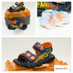 Sandlia Hot Wheels